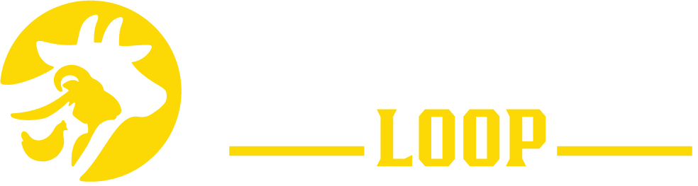 salvatoreperonne logo
