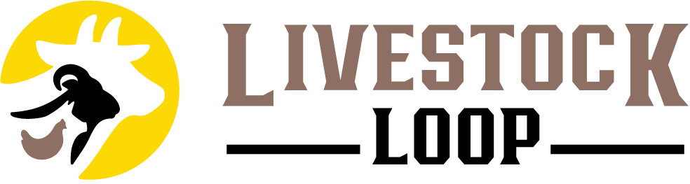 salvatoreperonne logo